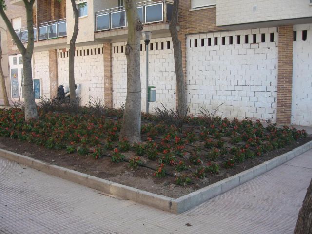 Mejoras en espacios verdes de Churra, Sangonera la Seca y La Alberca - 1, Foto 1