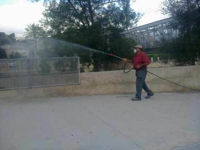 La concejalía de Medio Ambiente aplica tratamientos para combatir los mosquitos. - 1, Foto 1