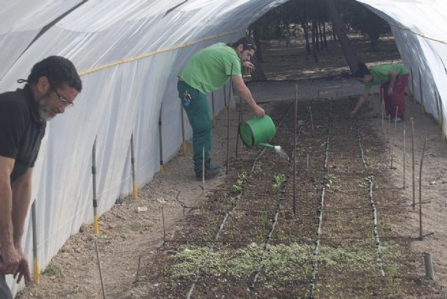 14 desempleados lorquinos participan en un curso gratuito de agricultura ecológica - 1, Foto 1