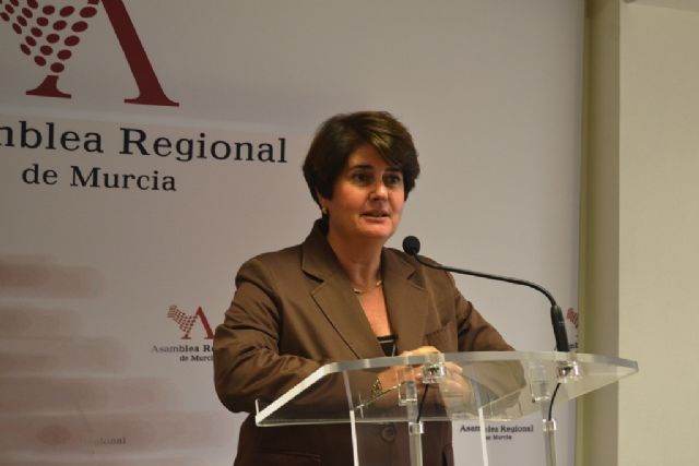 El Grupo Popular propondrá que el CERMI se incorpore al Consejo Económico y Social - 1, Foto 1