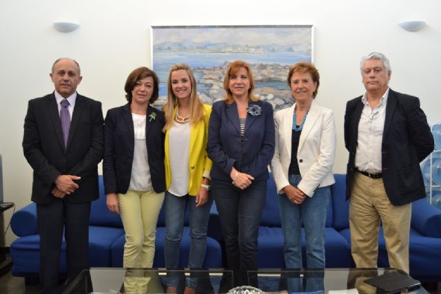 El Grupo Popular propondrá que el CERMI se incorpore al Consejo Económico y Social - 4, Foto 4