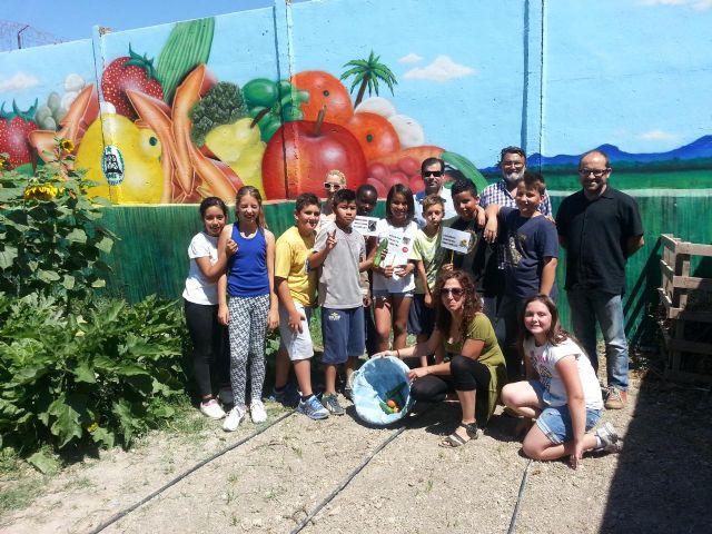 Comienza la recolecta de las hortalizas de temporada - 1, Foto 1