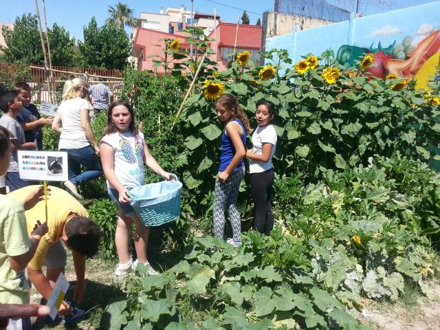 Comienza la recolecta de las hortalizas de temporada - 2, Foto 2