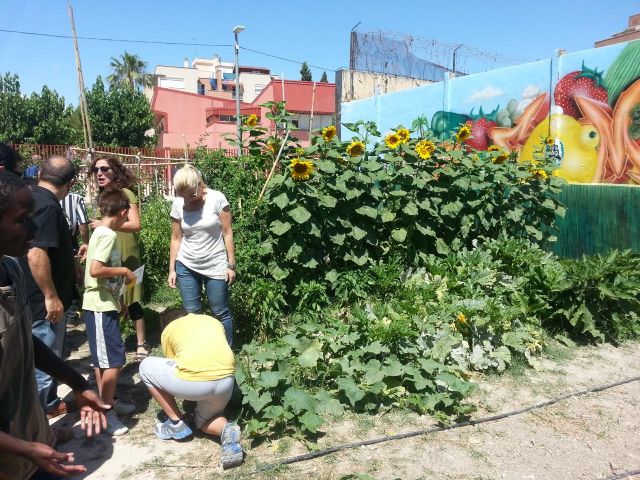 Comienza la recolecta de las hortalizas de temporada - 3, Foto 3