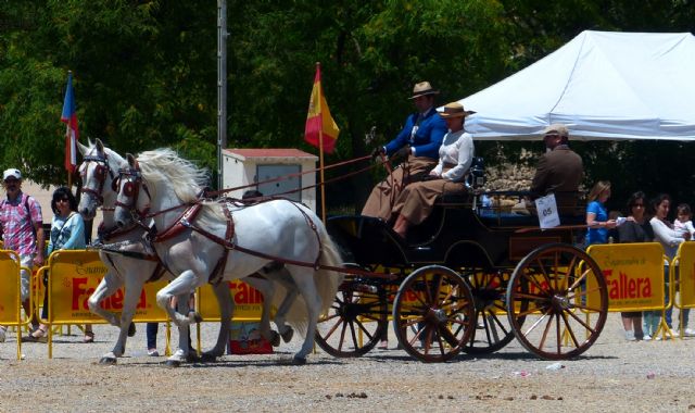 I Concurso de Enganches de Tradición Ciudad de Valencia - 3, Foto 3