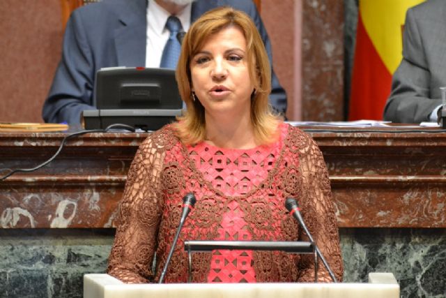 Murcia será la primera comunidad que incorpore al CERMI como miembro del Consejo Económico y Social - 1, Foto 1