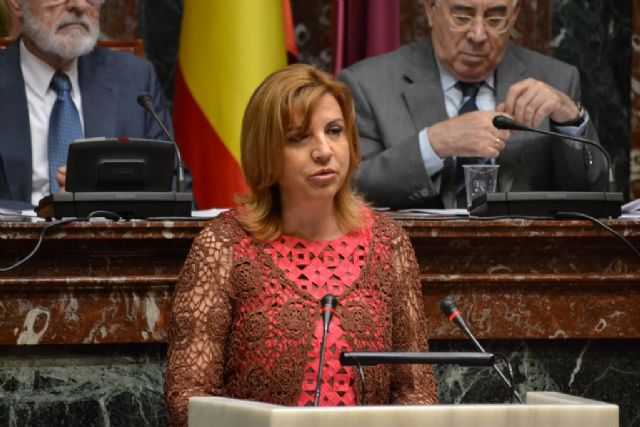 Murcia será la primera comunidad que incorpore al CERMI como miembro del Consejo Económico y Social - 2, Foto 2