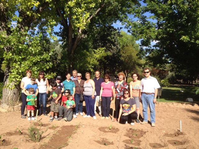 Igualdad finaliza con éxito el Taller Básico de Creación de Huerto Ecológico - 3, Foto 3