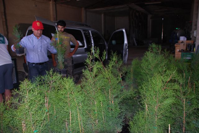 Miles de plantas para los campos agrícolas - 2, Foto 2