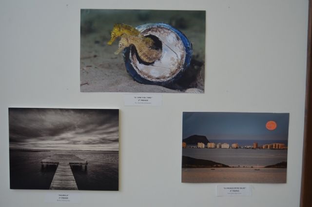 Francisco Javier Murcia ganó el Concurso de Fotografia Medioambiental - 2, Foto 2