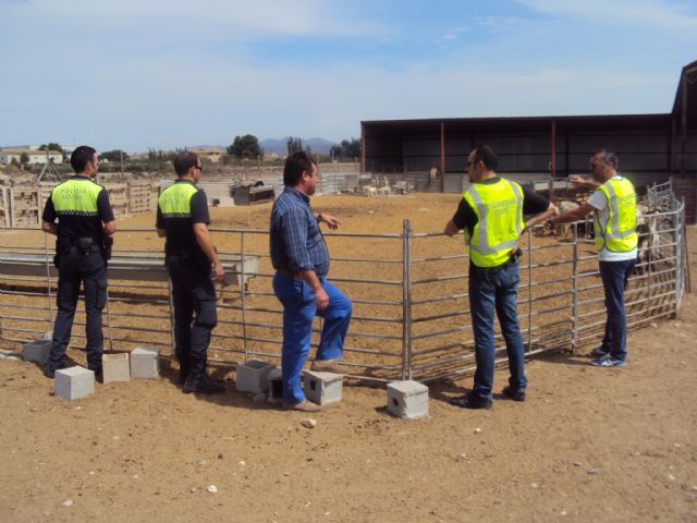 La Policía Local de Lorca detiene a 5 personas como presuntos autores de la comisión de una serie de robos - 3, Foto 3