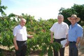 La Región participa en un proyecto europeo sobre los recursos genéticos del cerezo