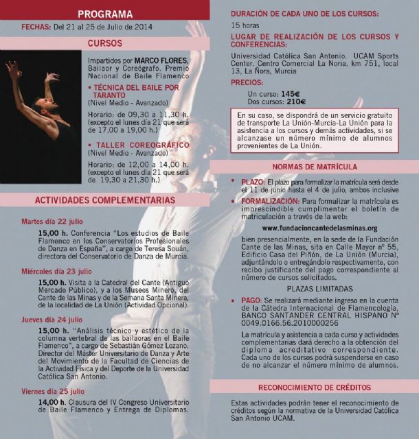 La cátedra de flamencología presenta el congreso universitario de baile flamenco - 3, Foto 3