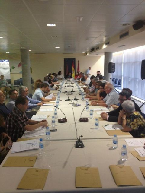 El Consejo Social de la Ciudad de Lorca aprueba la creación de una Comisión Permanente para tratar asuntos urgentes y cuatro Comisiones de Trabajo - 1, Foto 1