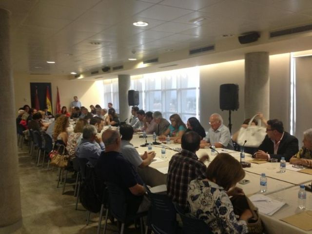 El Consejo Social de la Ciudad de Lorca aprueba la creación de una Comisión Permanente para tratar asuntos urgentes y cuatro Comisiones de Trabajo - 2, Foto 2