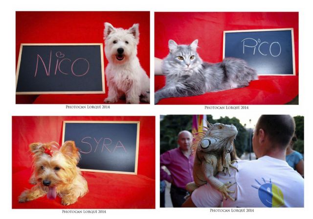 Se busca 'Mascota de Lorquí 2014' - 1, Foto 1