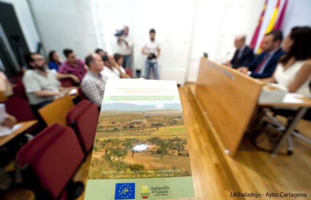 El Garbancillo de Tallante añade otro tesoro a Cartagena - 1, Foto 1