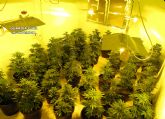 La Guardia Civil detiene a dos personas por delitos de cultivo y trfico de marihuana