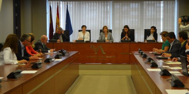 Sánchez-Castañol exige al PSOE no hacer política con la Sanidad sino hacer política sanitaria - 2, Foto 2