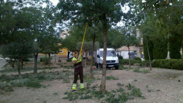 Medio Ambiente realizada hoy la poda y el recorte de árboles en Lobosillo, El Palmar, Monteagudo y Javalí Viejo - 4, Foto 4