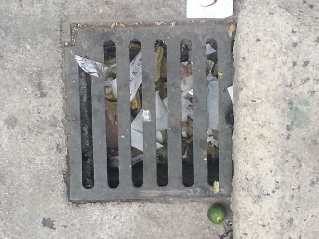 IU-Verdes de Murcia denuncia el estado de suciedad de los imbornales - 4, Foto 4