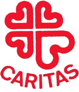 Cuestación de Cáritas el jueves en Cartagena - 1, Foto 1