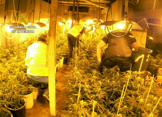 La Guardia Civil desarticula un grupo delictivo dedicado al cultivo y tráfico de marihuana en Murcia - 1, Foto 1