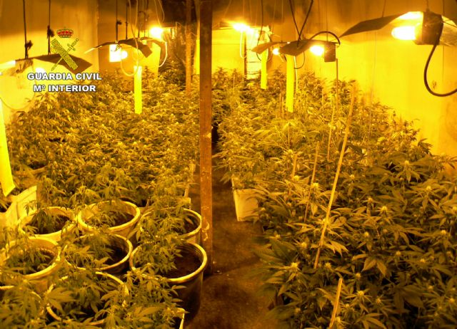 La Guardia Civil desarticula un grupo delictivo dedicado al cultivo y tráfico de marihuana en Murcia - 3, Foto 3