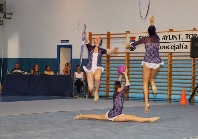 El Cronos JM Puente Tocinos triunfa en el X Trofeo de Gimnasia Rítmica Villa de Las Torres - 3, Foto 3