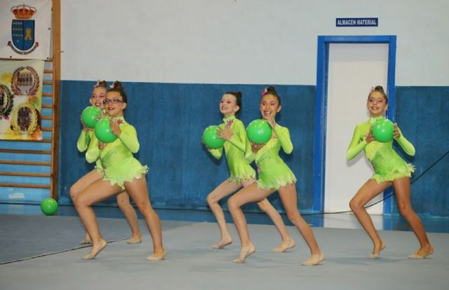 El Cronos JM Puente Tocinos triunfa en el X Trofeo de Gimnasia Rítmica Villa de Las Torres - 4, Foto 4