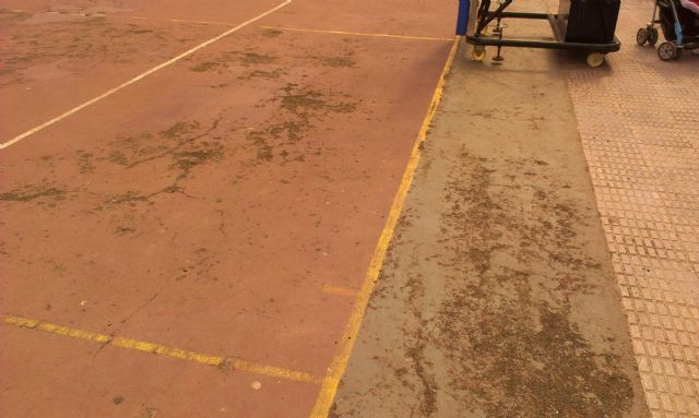 La Izquierda Plural denuncia el lamentable estado de las pistas exteriores del Pabellón Central - 5, Foto 5