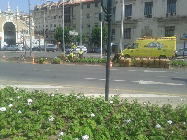 Medio Ambiente realiza la poda y recorte de árboles en El Palmar, Sangonera la Seca, Algezares, Monteagudo, Javalí Viejo, Lobosillo y Llano de Brujas - 5, Foto 5