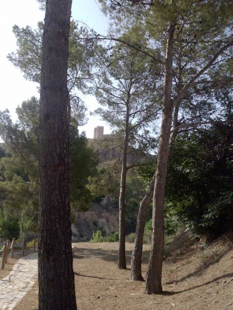 Igualdad pone en valor el paraje natural del Charco del Zorro a través de la II Ruta en Femenino 2014 - 5, Foto 5