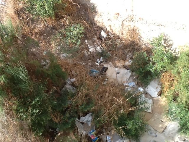 El PSOE pide el arreglo y acondicionamiento del antiguo puente de hierro - 2, Foto 2