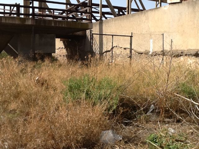 El PSOE pide el arreglo y acondicionamiento del antiguo puente de hierro - 3, Foto 3