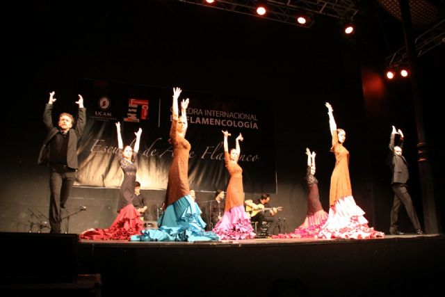 Brillante clausura de la escuela de flamenco 2014 - 3, Foto 3