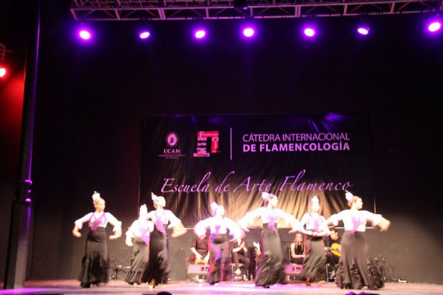Brillante clausura de la escuela de flamenco 2014 - 4, Foto 4