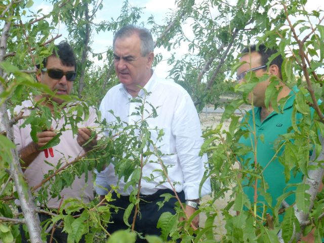 El PSOE pide al Gobierno regional que reaccione inmediatamente con medidas de choque para Cieza, Blanca y Abarán - 1, Foto 1