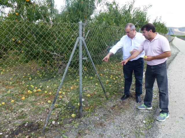 El PSOE pide al Gobierno regional que reaccione inmediatamente con medidas de choque para Cieza, Blanca y Abarán - 2, Foto 2