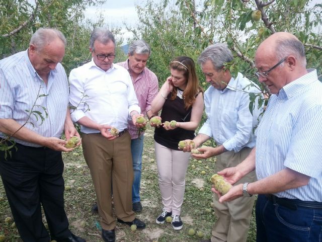 Visita zona afectada granizo en Cieza - 1, Foto 1