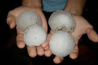 Las tormentas acaecidas en nuestra Región en la tarde de ayer arrasan cultivos leñosos de varias localidades Murcianas - 3, Foto 3