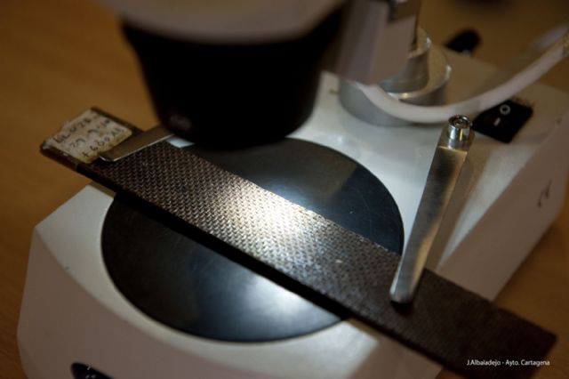 Enseñan a detectar el mosquito tigre con una aplicación móvil - 2, Foto 2