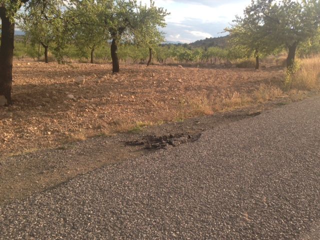 El PSOE expone diversas problemáticas que atañen a los vecinos de Zarzadilla de Totana - 2, Foto 2