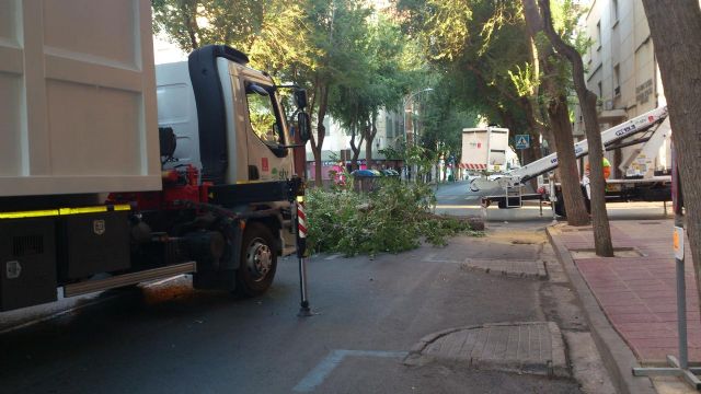 Santa Isabel luce nueva imagen - 3, Foto 3