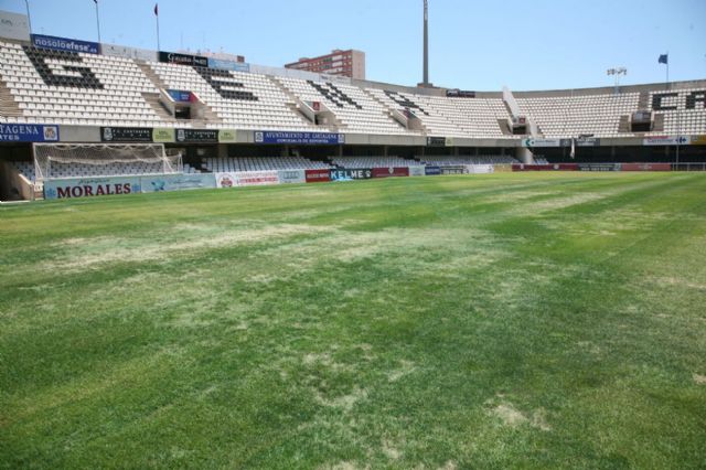 La final juvenil de la Copa del Rey no se disputará en el Estadio Cartagonova - 5, Foto 5