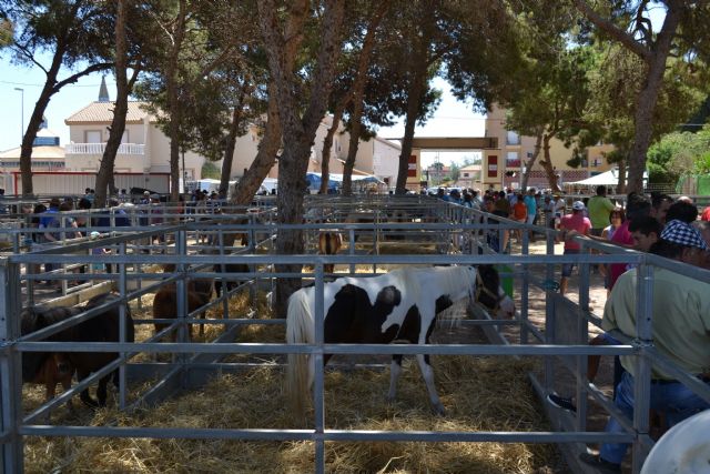 Abre sus puertas la CCXVII edición de la feria del Ganado de San Pedro del Pinatar - 3, Foto 3