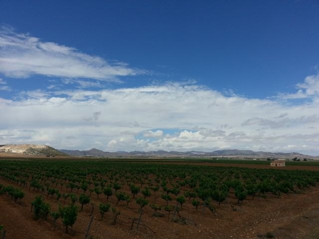 Turismo organiza un viaje de familiarización para impulsar la promoción ´on line´ de la Región como destino rural - 1, Foto 1