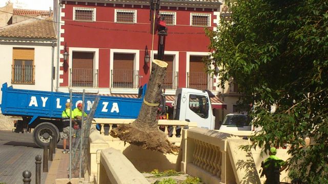 Izquierda Unida- Verdes propondrá medidas para evitar que actuaciones como la del Jardín de las Ranas se repitan - 5, Foto 5