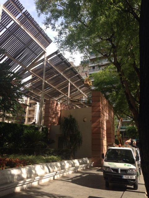 Medio Ambiente desarrolla la revisión anual de las pérgolas de Murcia - 1, Foto 1