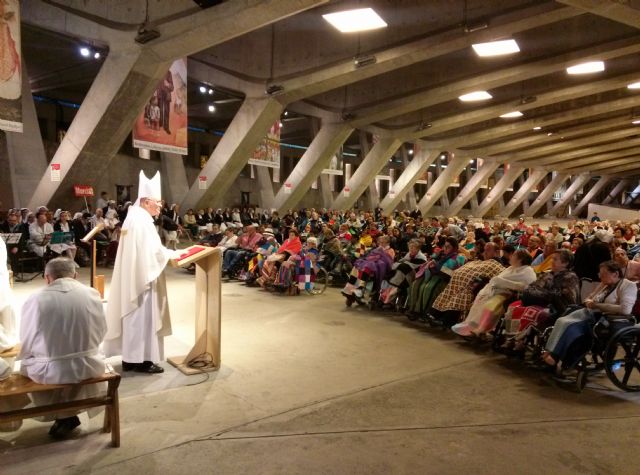 La Hospitalidad vuelve a vivir el milagro de Lourdes, Foto 2